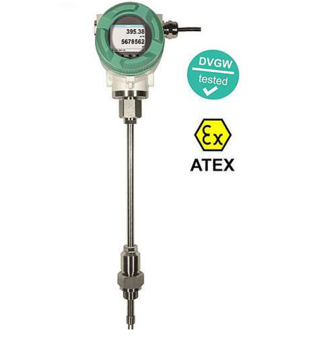 进口插入式热式流量计